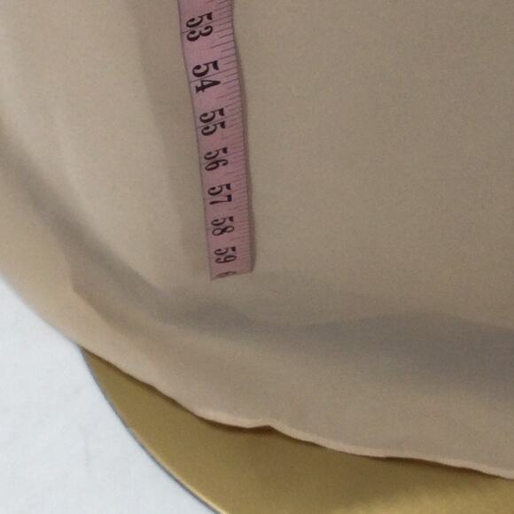 MOTHER OF THE BRIDE SZ 22 PLUS beige lace sleeveless maxi party dress NEW B60 - Picture 3 of 7